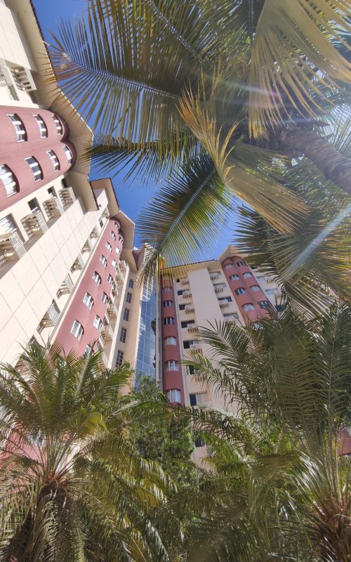 Fachada imponente do HotSprings Hotel com palmeiras tropicais.