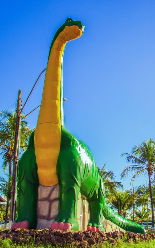 Caldas Park Day User (1)